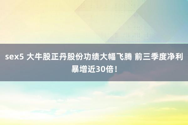 sex5 大牛股正丹股份功绩大幅飞腾 前三季度净利暴增近30倍！