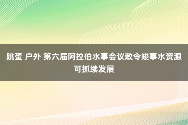 跳蛋 户外 第六届阿拉伯水事会议敕令竣事水资源可抓续发展