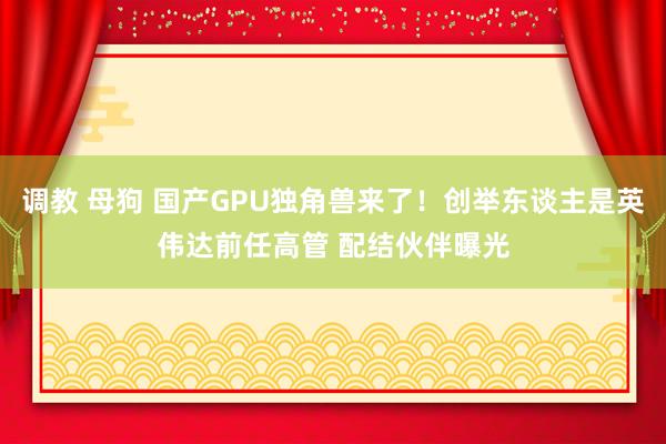 调教 母狗 国产GPU独角兽来了！创举东谈主是英伟达前任高管 配结伙伴曝光