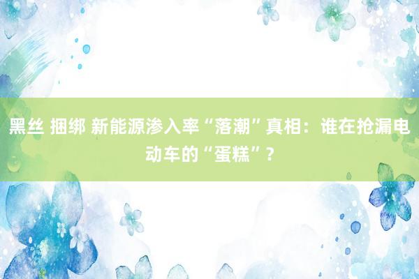 黑丝 捆绑 新能源渗入率“落潮”真相：谁在抢漏电动车的“蛋糕”？